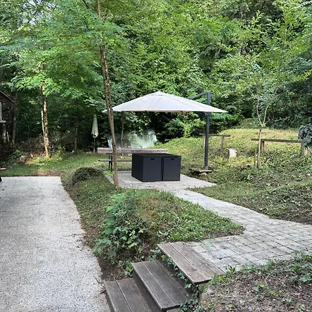 Unique Forest Bled, Renovated August 2024 * Bled